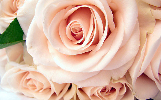 709265 (a): :2560x1600